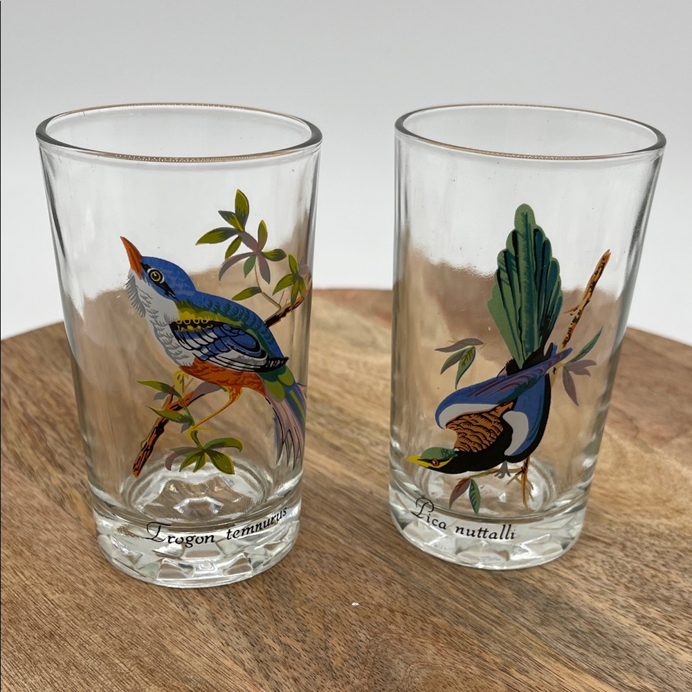 Vintage Kig Malaysia Juice Glasses 6oz-Set of Two